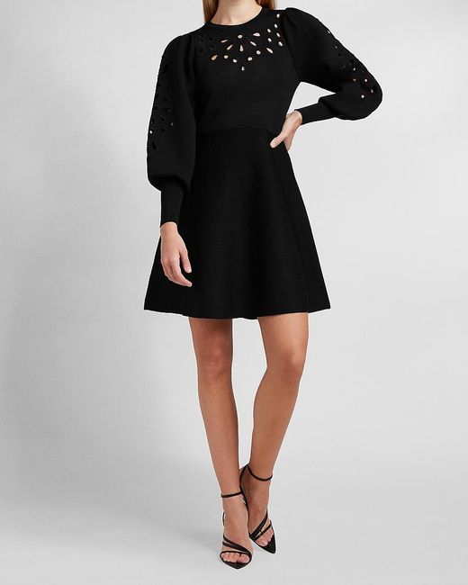 express sweater dresses