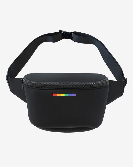 express fanny pack