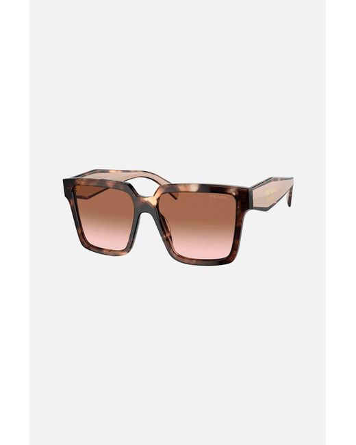 Prada Pr 24zs Over Cat Eye Havana And Pink Sunglasses | Lyst