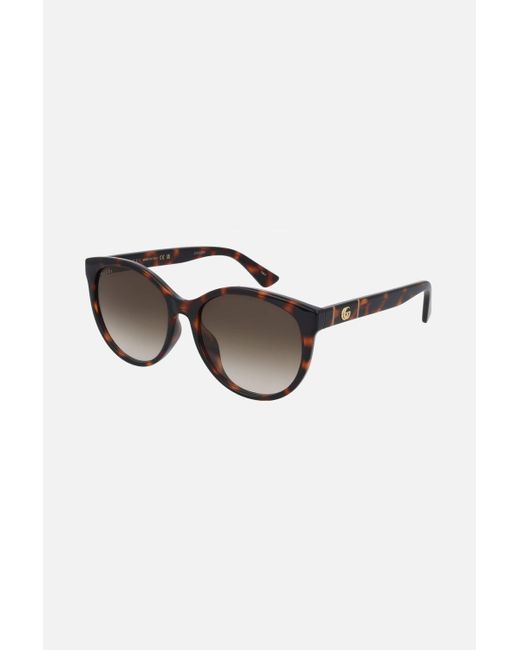 Gucci Soft Cat-eye Havana Sunglasses | Lyst