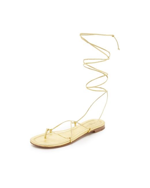 Michael Kors Metallic Bradshaw Lace Up Sandals