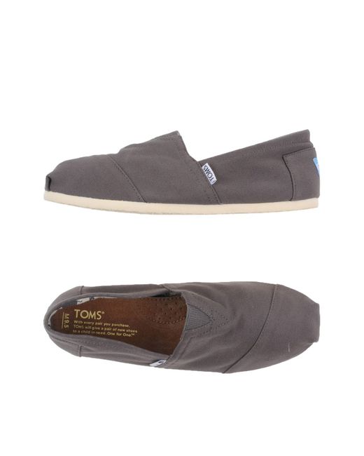 TOMS Gray Low-tops & Trainers for men