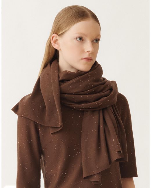 Fabiana Filippi Brown Wool Scarf With Sequins, Ebony