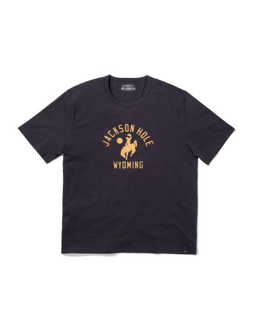 Faherty Brand Blue Jackson Hole Short-sleeve Crew T-shirt for men