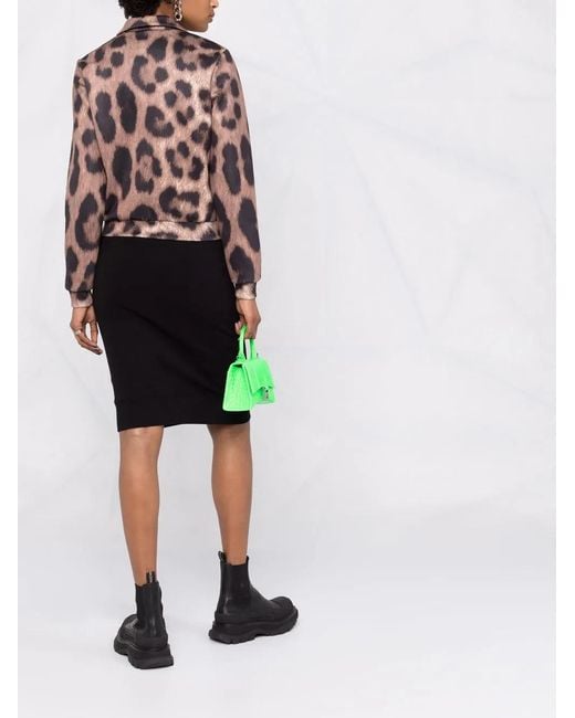 Philipp Plein Brown Leopard-print Jacket