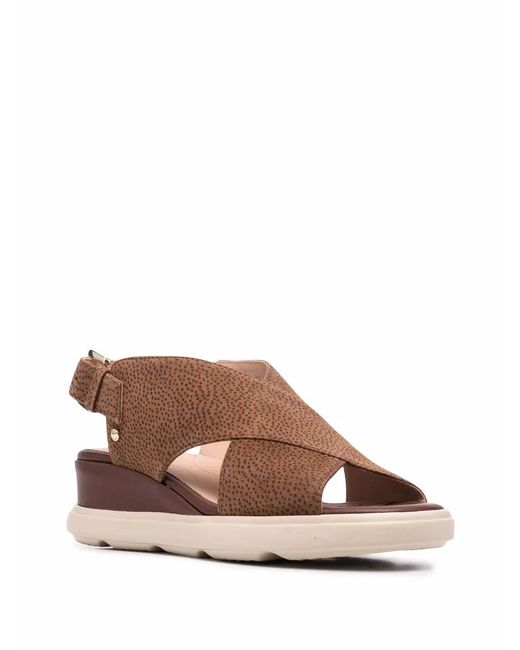 Geox Brown Sukui 2 Open Toe Sandals