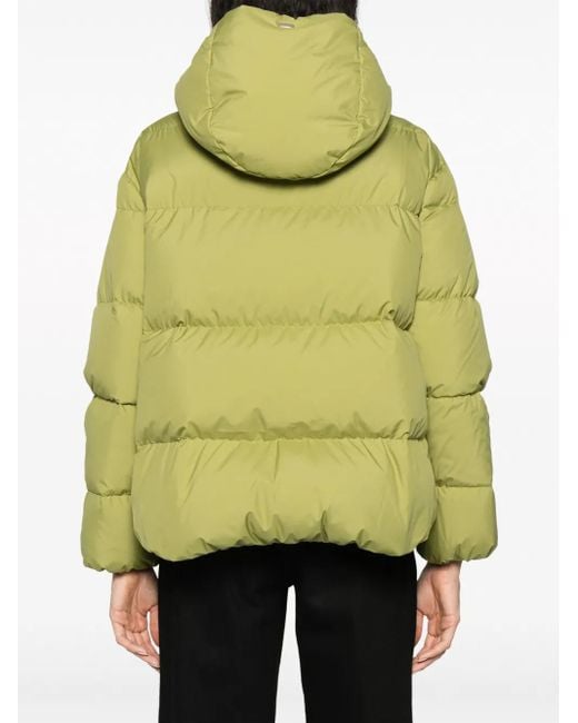 Herno Green Zip-Up Hooded Down Jacket