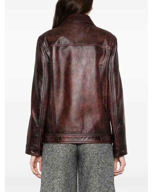 Dolce & Gabbana Brown Flap-Pocket Jacket