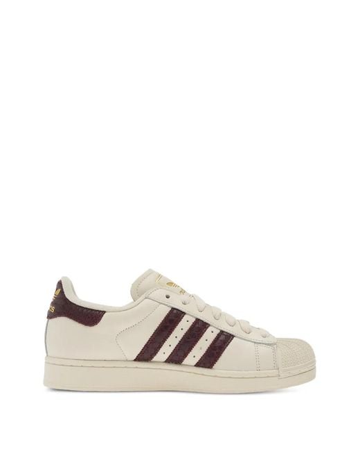 Adidas White Baskets Superstar