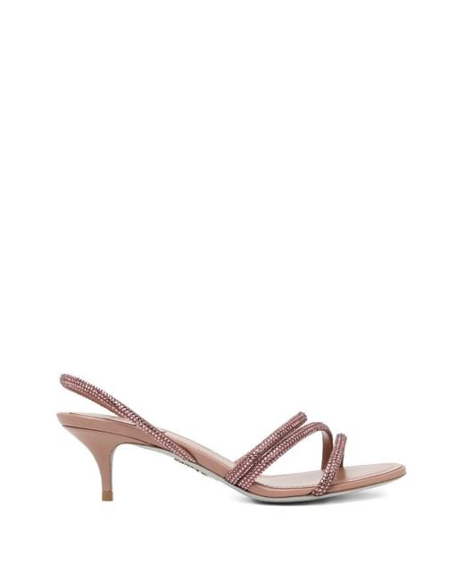 Rene Caovilla Pink 50Mm Embellished Sandals