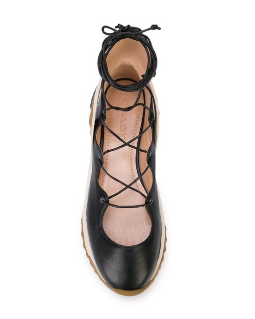 coach lace up ballerina sneakers