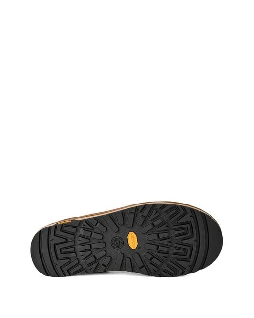 Ugg Brown Tasman Gtx Suede Gore-Tex Sneakers for men