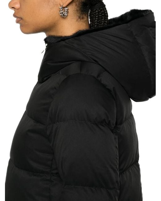 Herno Black Coats