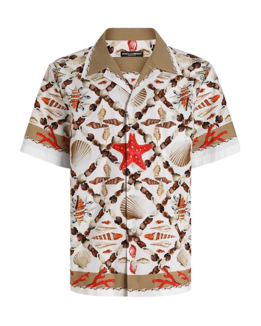 Dolce & Gabbana Hawaiihemd Mit Muschel-Print in Multicolor für Herren