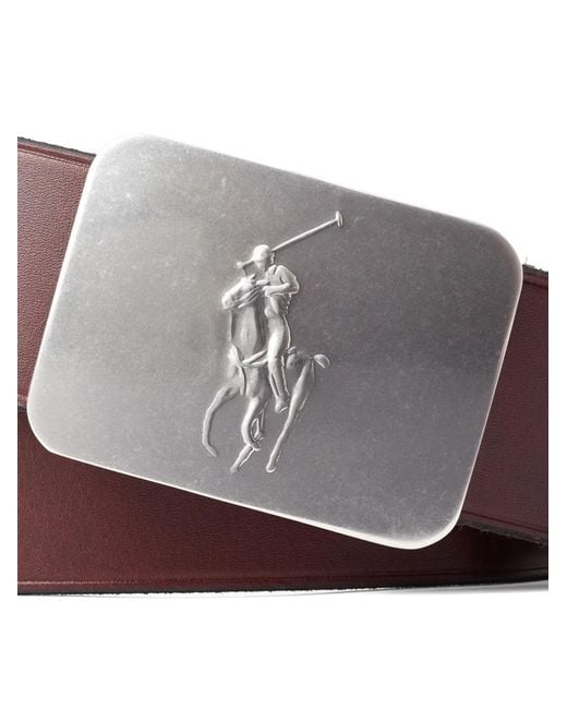 Polo Ralph Lauren Brown Pony-Plaque Leather Belt for men