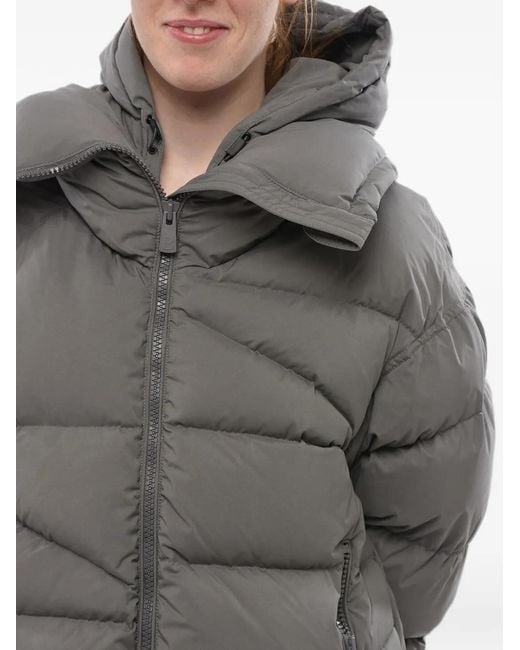Bacon Gray Quilted Hooded Down Coat