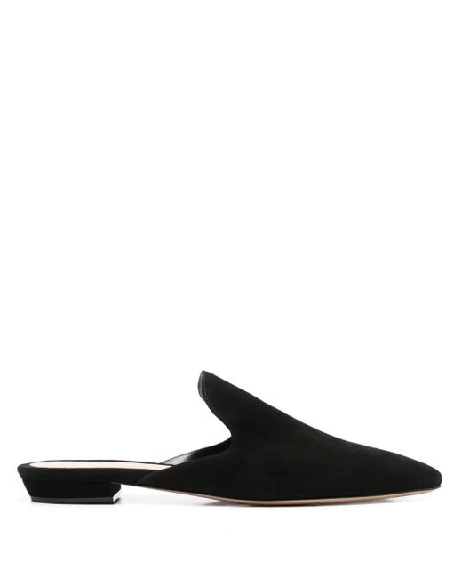 Gianvito Rossi Black Nubuck Mules