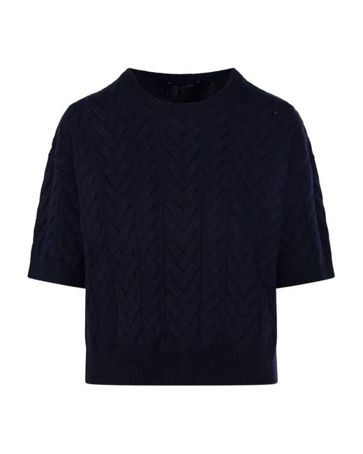 Max Mara Blue Sweaters