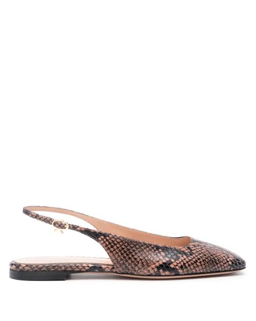 Gianvito Rossi Brown Square-Toe Leather Ballerina Shoes