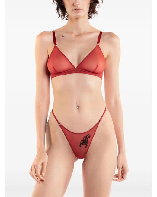 Zhilyova Embroidered Sheer Thong