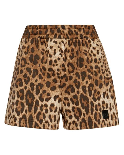 Dolce & Gabbana Brown Short Shorts
