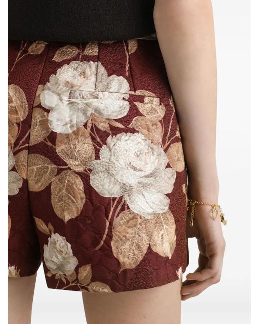 Dolce & Gabbana Red Rose-Print Brocade Shorts