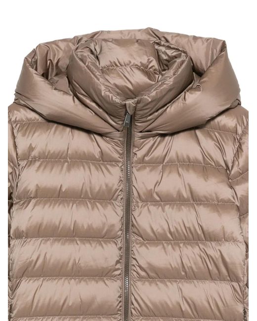 Seventy Natural Hooded Puffer Jacket