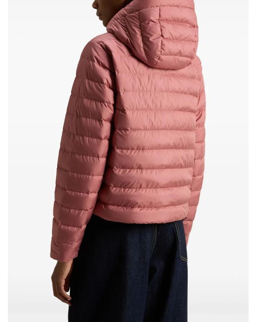 Woolrich パデッドジャケット Red