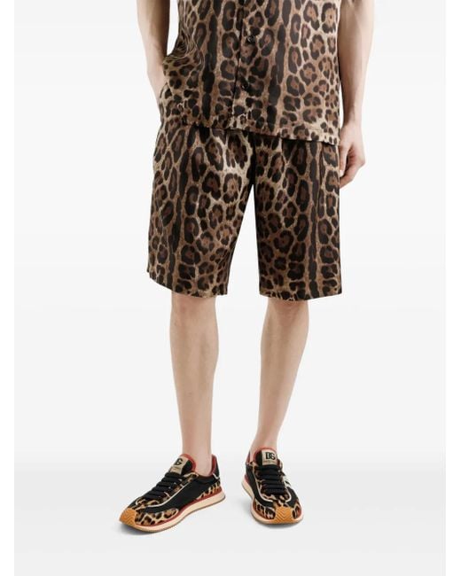 Dolce & Gabbana Brown Leopard-Print Shorts for men
