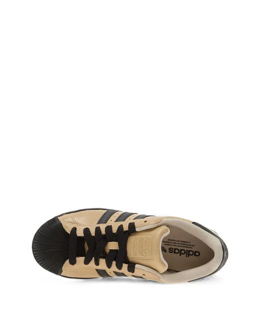 Adidas Natural Superstar Ii Sneakers