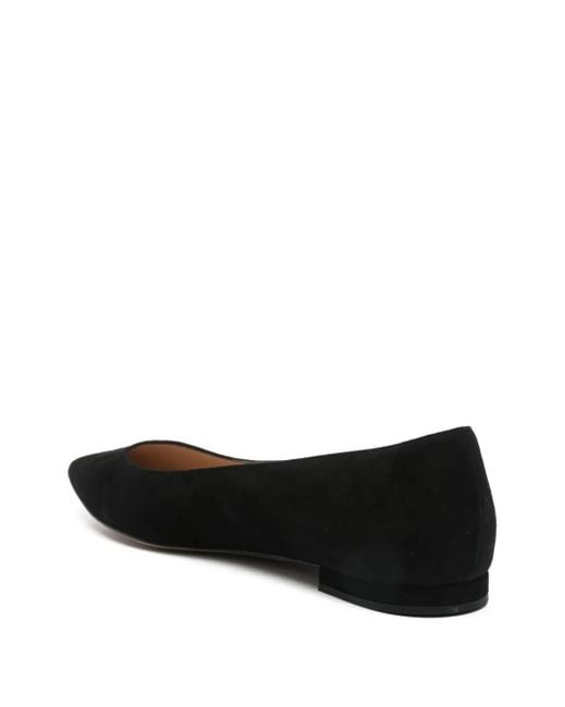 Gianvito Rossi Black Gianvito Ballet Flats