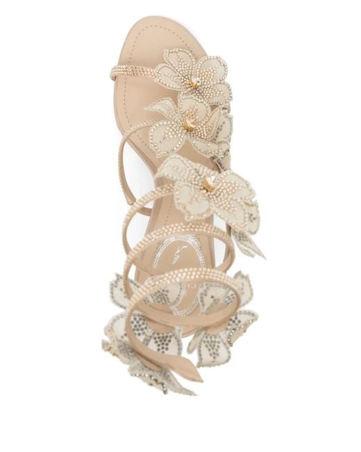 Rene Caovilla Peach Flower 80mm サンダル Metallic