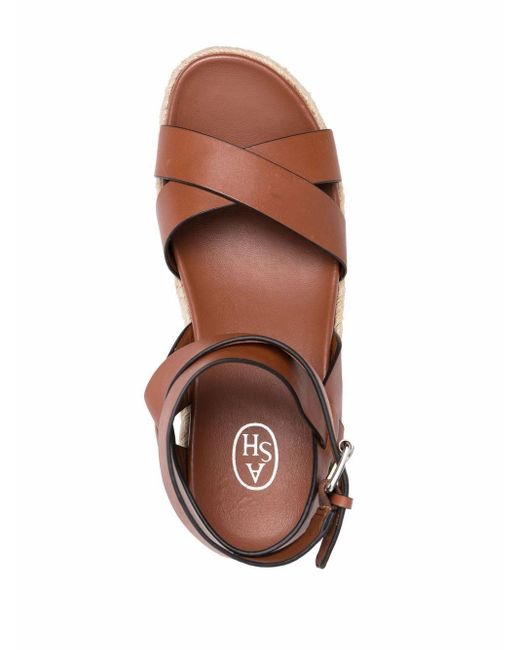 Ash Dames Sleehak Sneakers in Wit online kopen