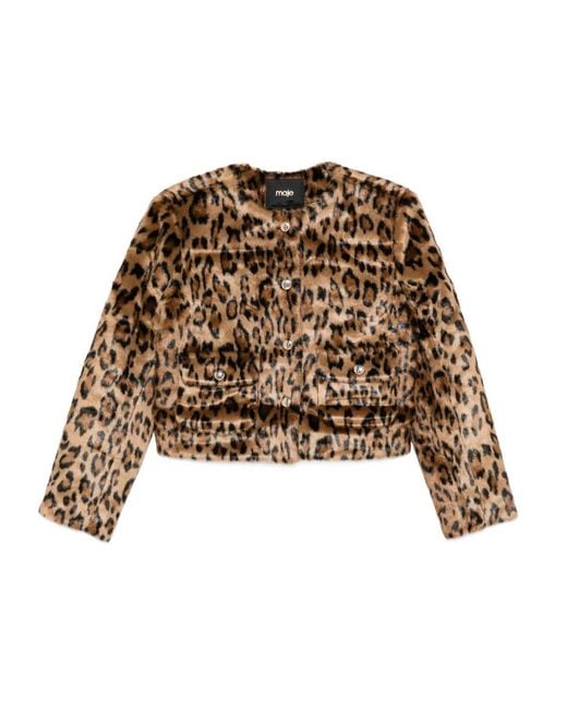 Chaqueta Con Botones Y Estampado De Leopardo Maje de color Natural