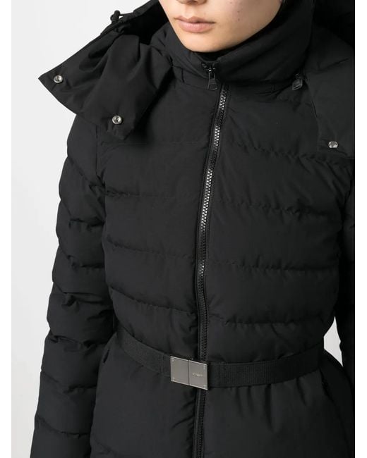Burberry Black Jackets