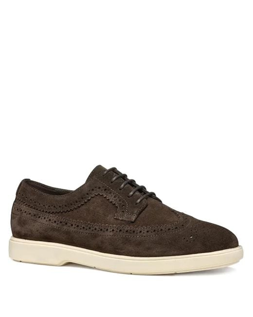 Geox Brown Brogue-Detail Suede Derby Shoes for men