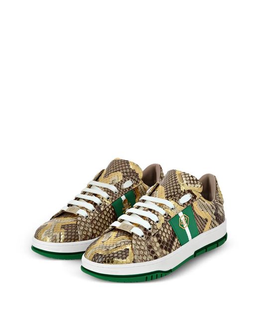 Philipp Plein Green Sneakers Aus Pythonleder