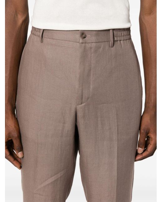 Tagliatore Brown P-garcon Tapered Trousers for men