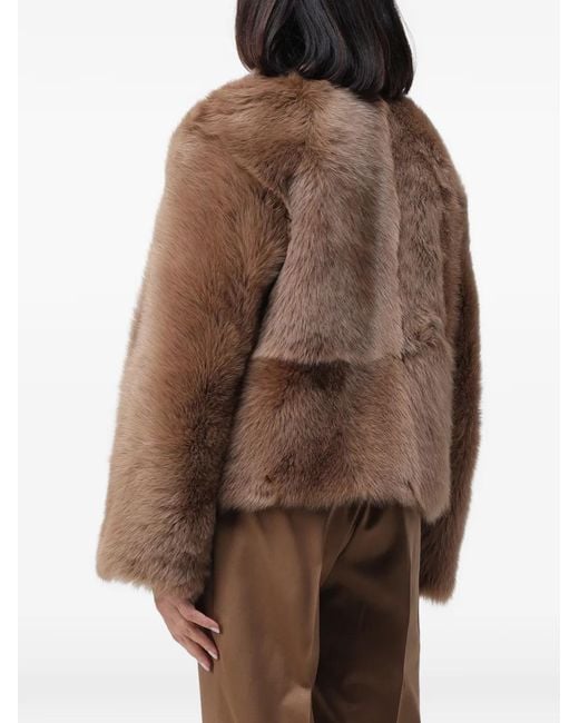 Chaqueta Con Diseño Abierto Kiton de color Brown