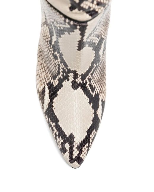Paris Texas White Elsa Stiefel Mit Python-Print