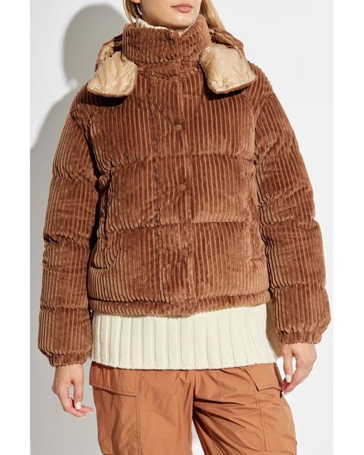 Moncler Brown Daos Jacket