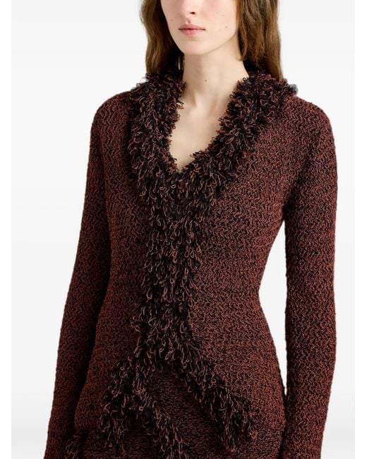 Proenza Schouler Brown Nilo Top
