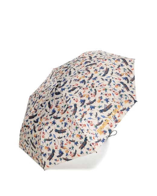 Bimba Y Lola White Insect-Print Floral Umbrella