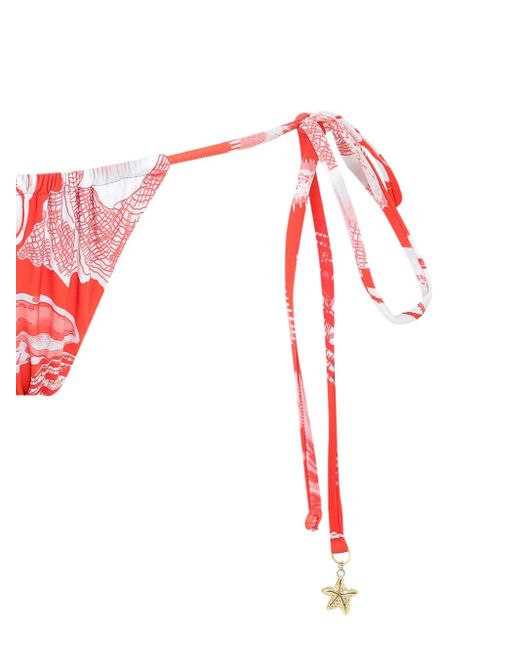 Amir Slama Red X Jade Jade Starfish-Print Bikini