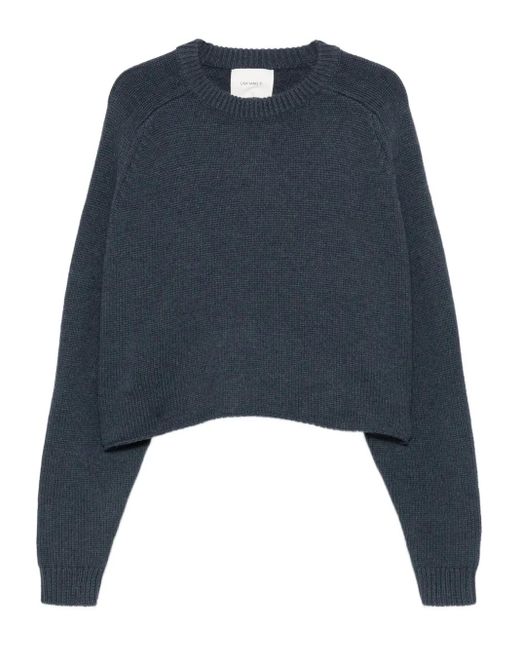 Lisa Yang Blue Round-Neck Cropped Sweater