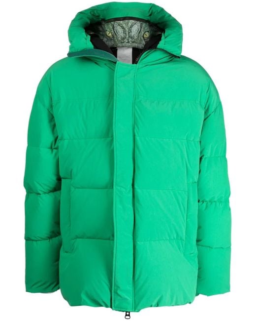 Doublet Green Padded Animal Motif-Hoodie Jacket for men