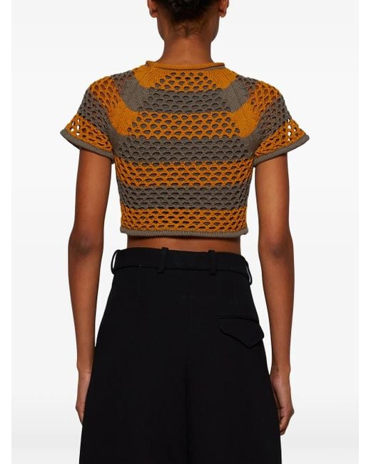 DIOTIMA Brown Rae Crocheted Short-Sleeve Top