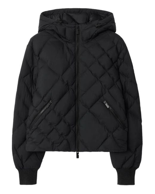 Doudoune Delley À Carreaux Burberry en coloris Black