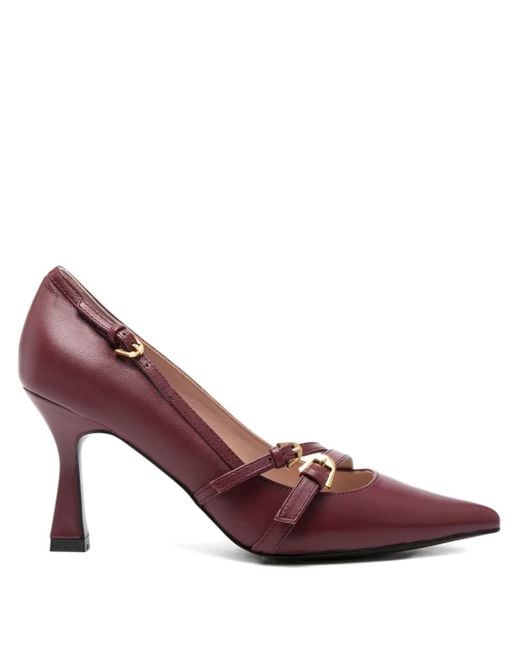 Coccinelle Purple Fernanda Pumps Mit Spitzer Kappe
