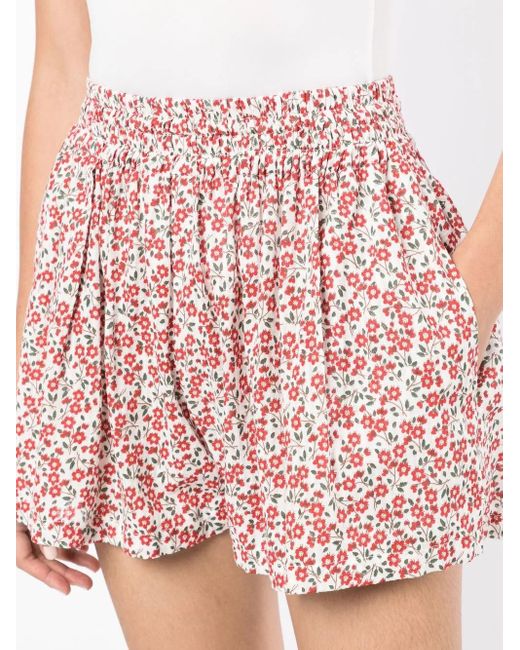 Bambah Red Floral-Print Shorts